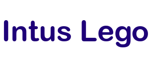 Progetto Intuslego SIAVS